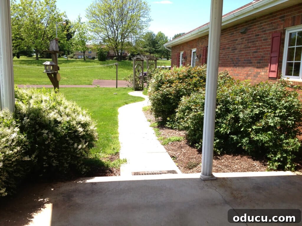 Ranch Renaissance: Modern Farmhouse Transformation 13 Back of brick ranch before getting a major update with overgrown shrubs
