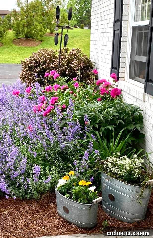 Ranch Renaissance: Modern Farmhouse Transformation 15 flowers-and-galvanized-buckets in a vibrant garden display