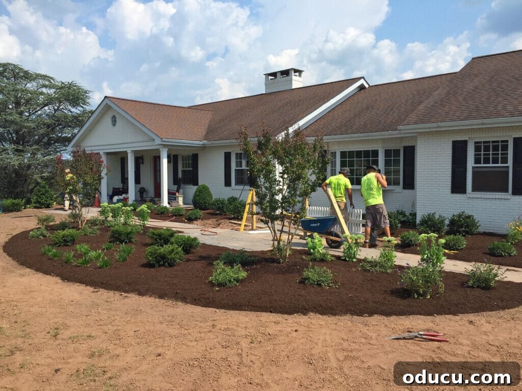 Ranch Renaissance: Modern Farmhouse Transformation 20 landscaping-front-of-house with new plantings