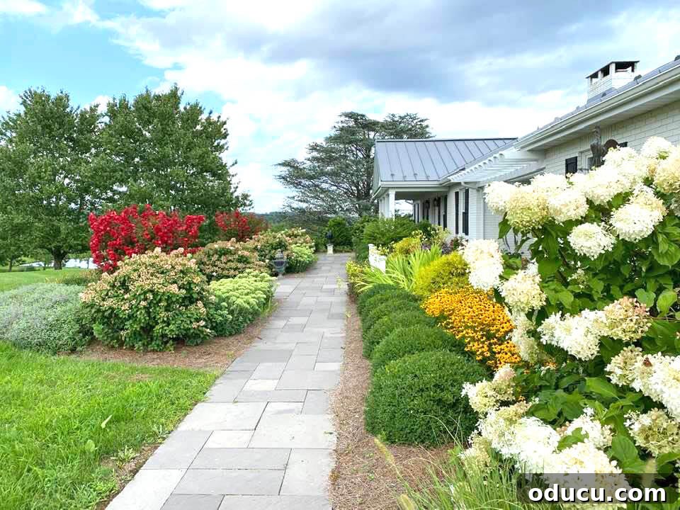 Ranch Renaissance: Modern Farmhouse Transformation 22 landscaped-walkway-in-front-of-house with seasonal appeal