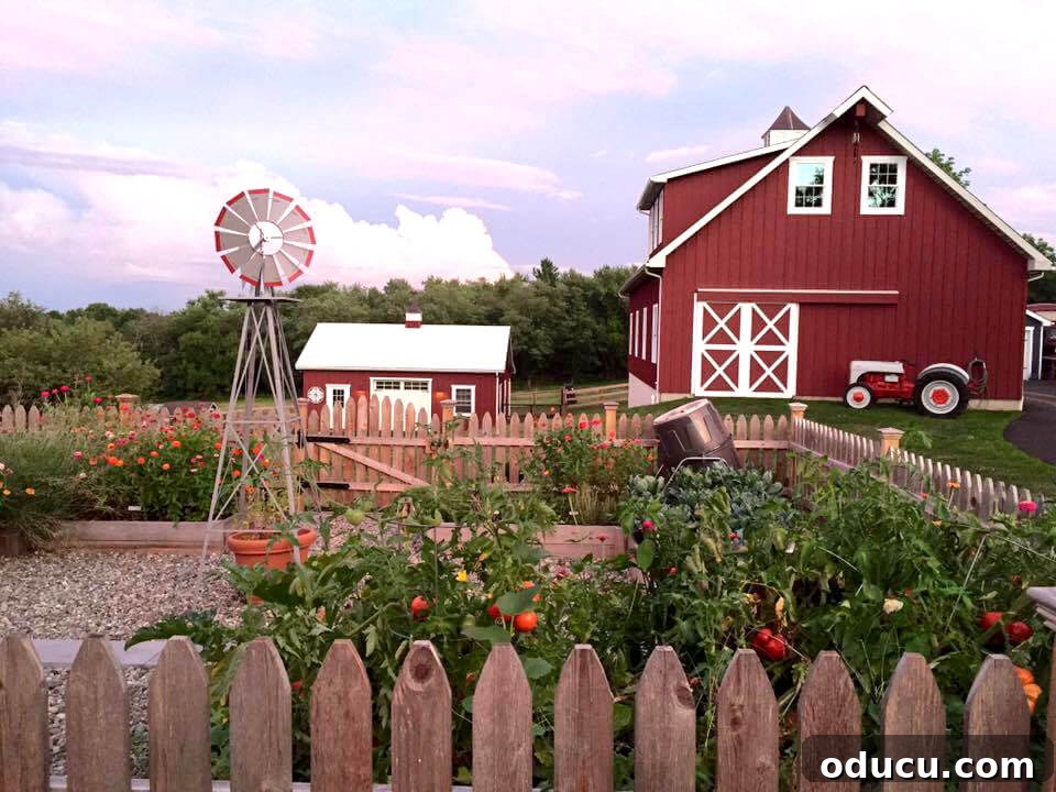 Ranch Renaissance: Modern Farmhouse Transformation 27 the-farm-at-dusk overlooking the garden