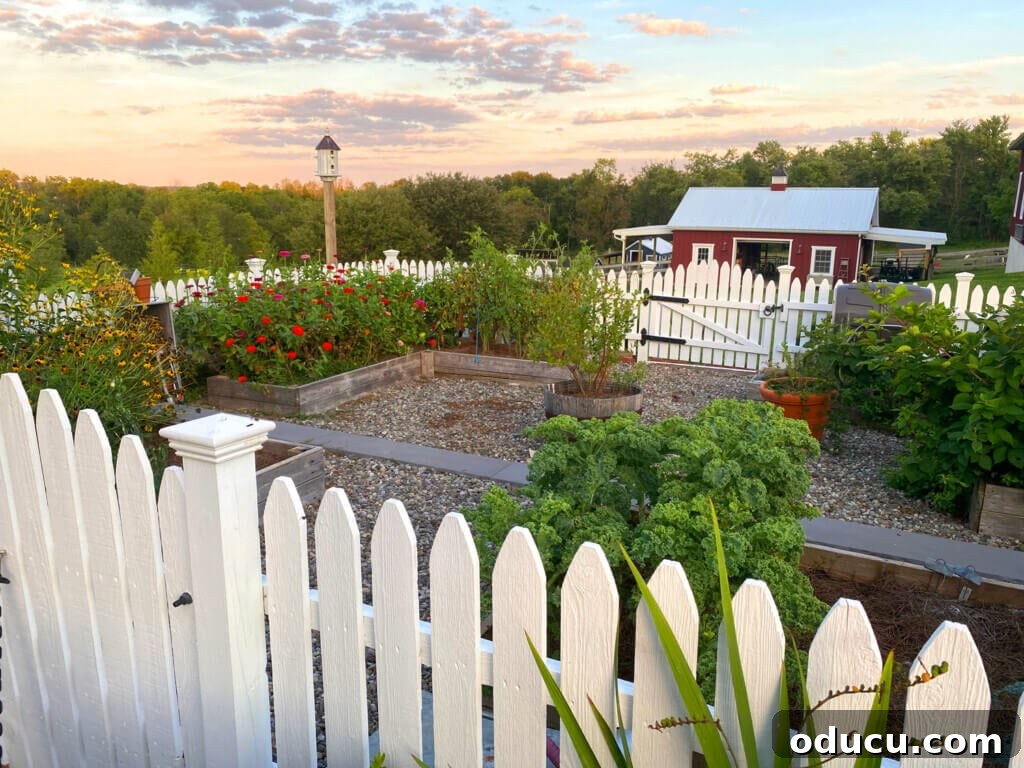 Ranch Renaissance: Modern Farmhouse Transformation 28 veggie-garden with unpainted picket fence