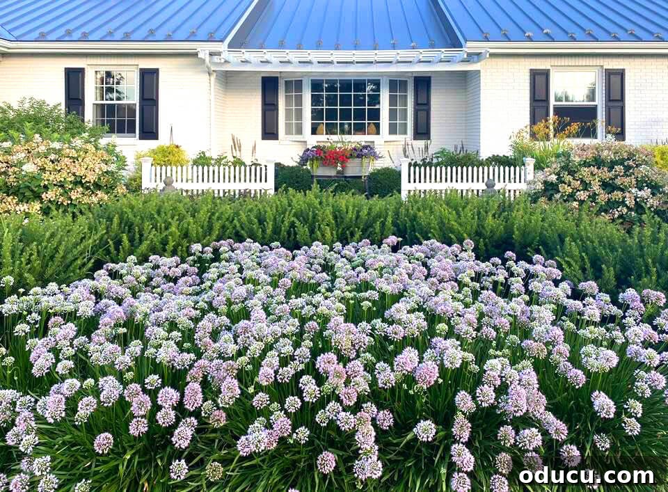 Ranch Renaissance: Modern Farmhouse Transformation 30 flower-garden-in-front-of-house blooming with color