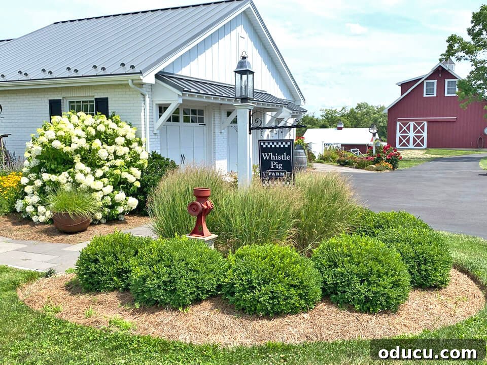 Ranch Renaissance: Modern Farmhouse Transformation 31 whistle-pig-farm sign for their small farm