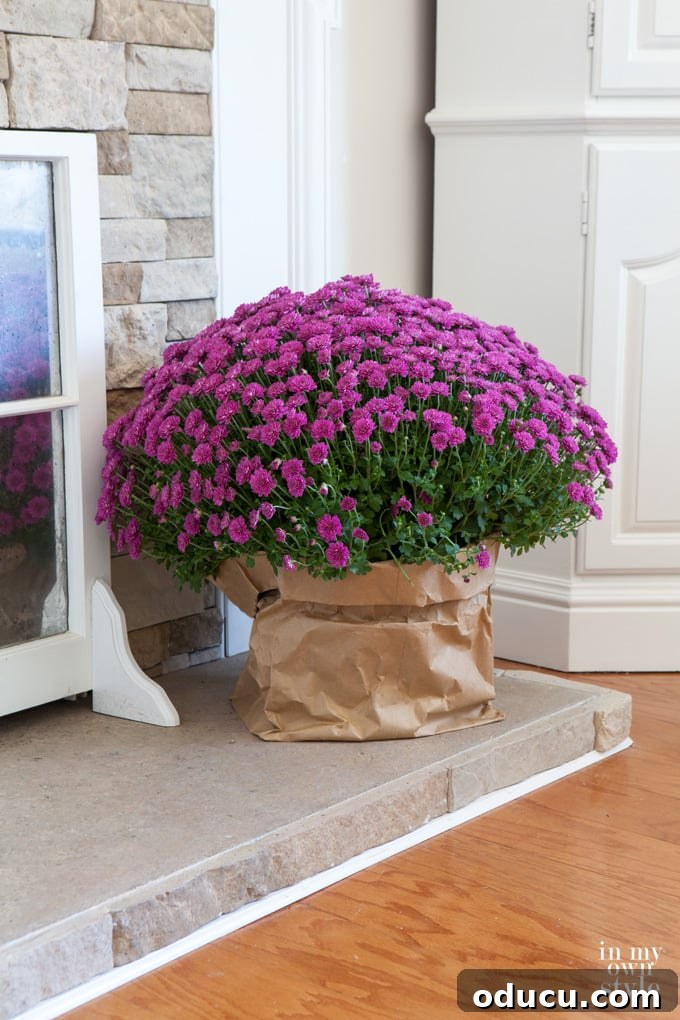 Chic Chronicles Edition 16 2 Charming fall mum decoration in a large paper bag, perfect for easy autumn home styling