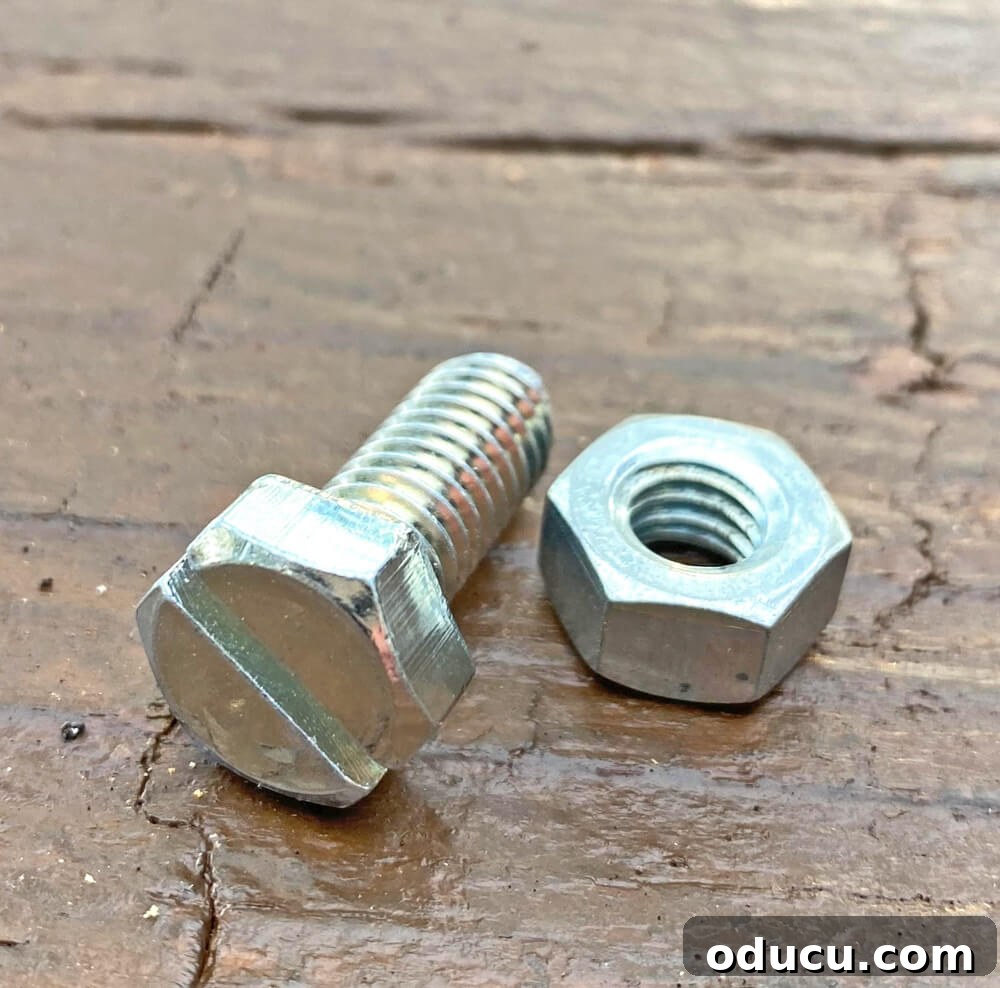 Crafting a Dual-Level Kitchen Storage Stand 7 screw and nut used to make stand. A close-up image of a screw and nut, essential for securing the tiered stand.