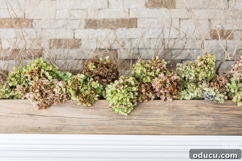 Autumn's Embrace: Natural Decor for Your Living Space 6 img 63918 5
