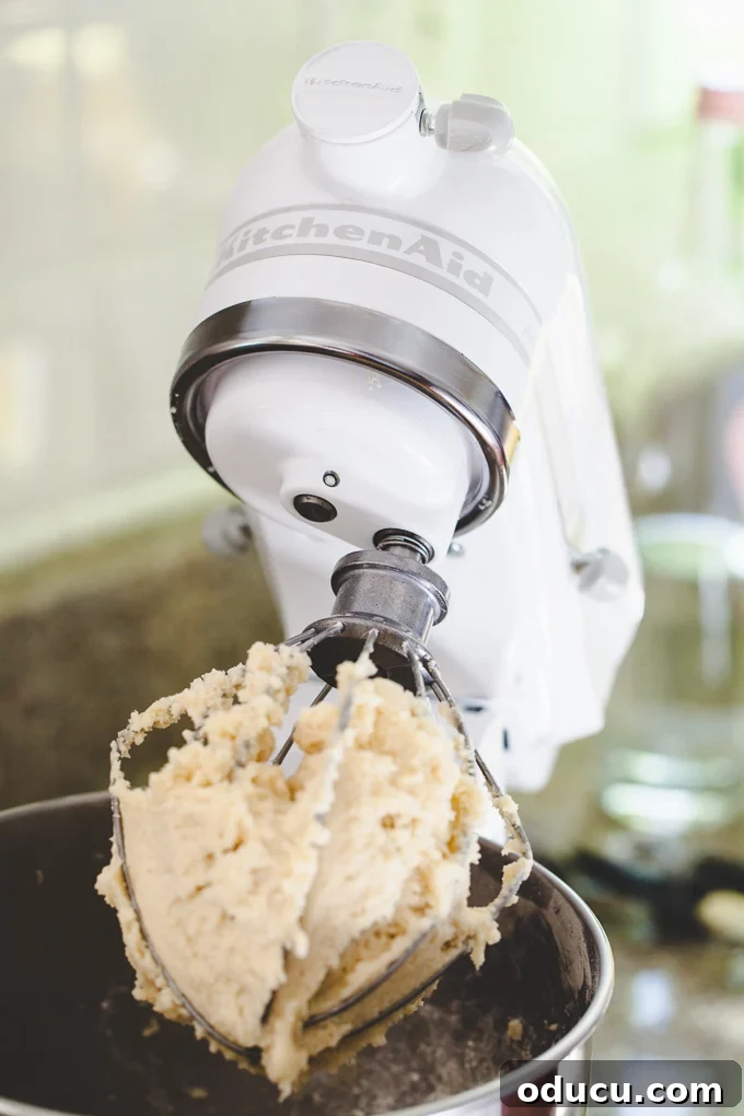 Kitchen Aid Mixer