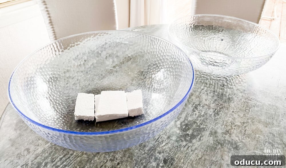 Two clear plastic bowls ready for transformation into a large, low-sided bowl style planter.