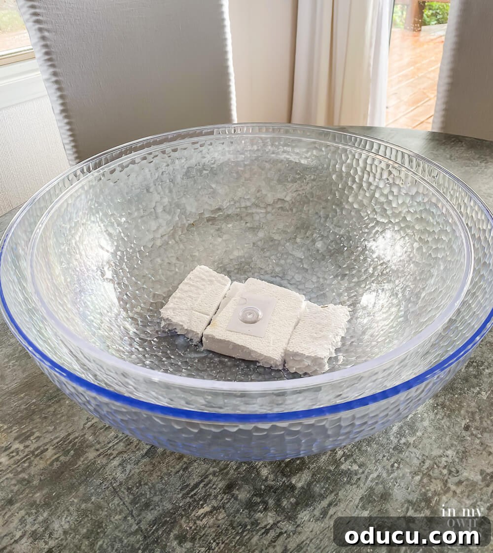 Smaller plastic bowl placed inside a larger plastic bowl, with Styrofoam blocks providing a stable riser underneath the smaller bowl.