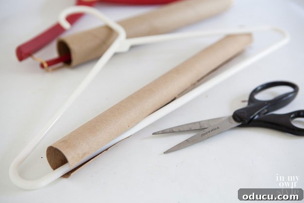 Brilliant DIY Strategies for a Perfectly Organized Home 5 Cardboard tube repurposed on a plastic hanger for wrinkle prevention.