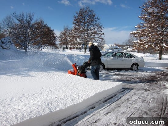Style Discoveries 2 Snow blowing a driveway on a cold winter day, symbolizing winter challenges and coziness