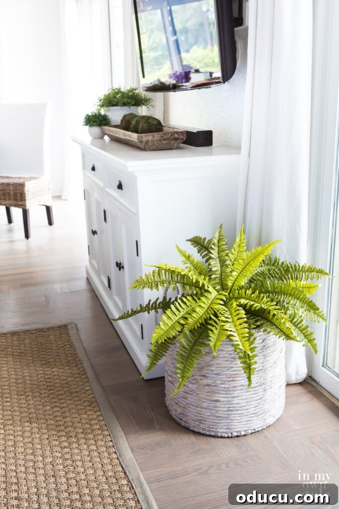 The Evolution of My Living Room Style 16 Large white washed basket with a faux fern in it in a living room.