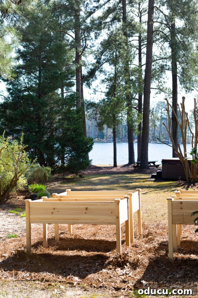 Elevated cedar planter boxes in a yard, showcasing the practical and aesthetic appeal of modern kitchen gardens.