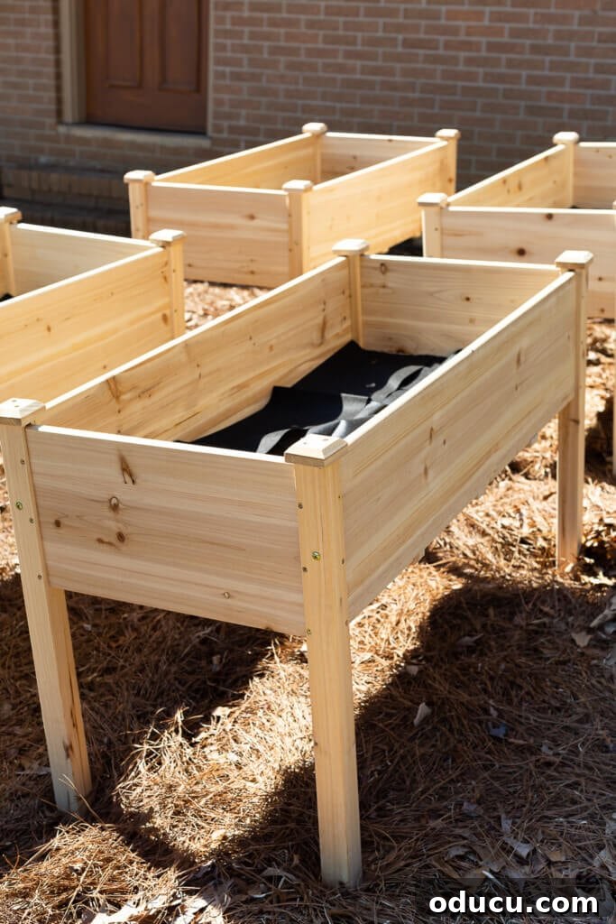 Four elevated cedar outdoor garden planters, illustrating an easy method for establishing a kitchen garden.