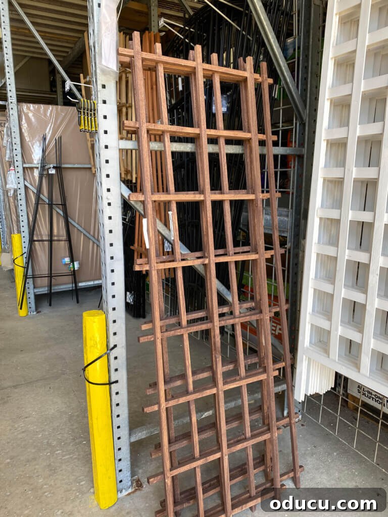 Cedar trellis displayed at Home Depot, inspiring the choice of wood finish for the new garden planters.
