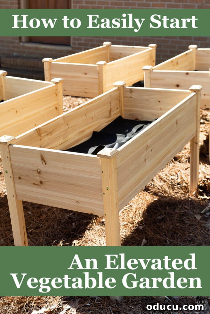 Four elevated cedar garden planters in a yard, with text overlay: 'How to easily start an elevated vegetable garden'.