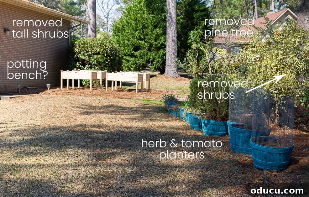 Side yard of house with markings indicating the planned location for the new, expanded kitchen garden.