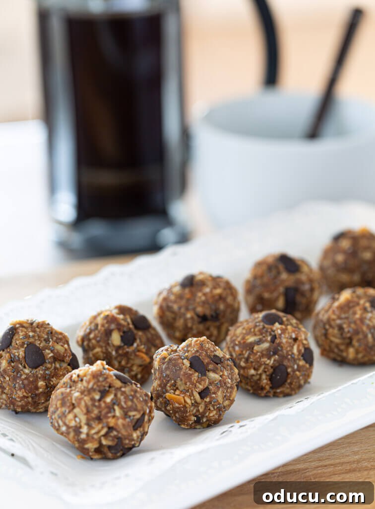 Versatile No-Bake Energy Bites 2 Two rows of healthy no-bake energy balls, rich with chocolate chips and oats, arranged neatly on a pristine white plate.