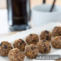 Versatile No-Bake Energy Bites 5 Two rows of healthy energy power balls, showcasing a delicious and nutritious snack, arranged on a white plate.