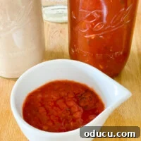Close up shot of a small bowl filled with No Oil Tomato Sauce.