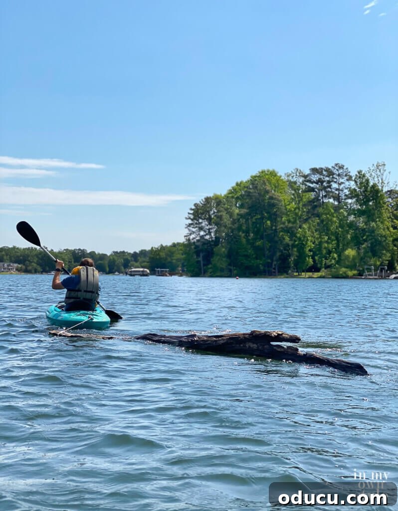 Craft a Natural Driftwood Art Display 3 Kayaker towing a substantial piece of raw driftwood across a lake, destined to become a DIY modern art sculpture.