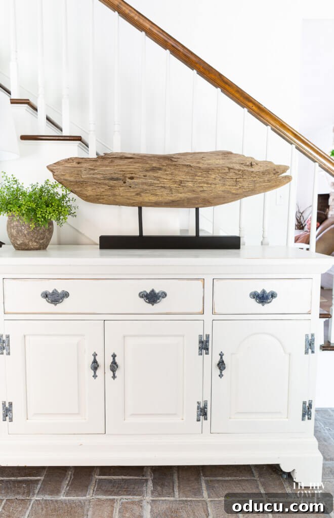 Craft a Natural Driftwood Art Display 4 Finished DIY modern art piece showcasing a large section of driftwood mounted on a sleek black stand, perfect as a table top display.