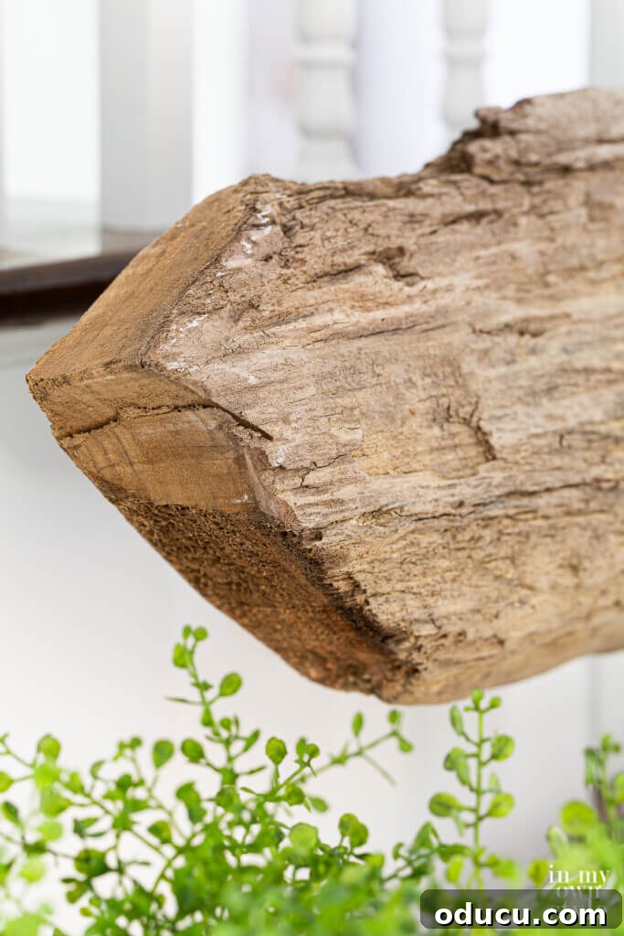 Craft a Natural Driftwood Art Display 6 Close-up detail of the DIY modern art wood log sculpture, highlighting its natural textures and unique shape.