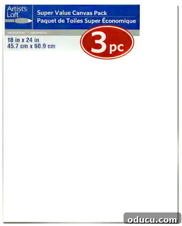 Handmade Modern Canvas Masterpiece 3 Inexpensive pack of primed art canvases from Michaels.