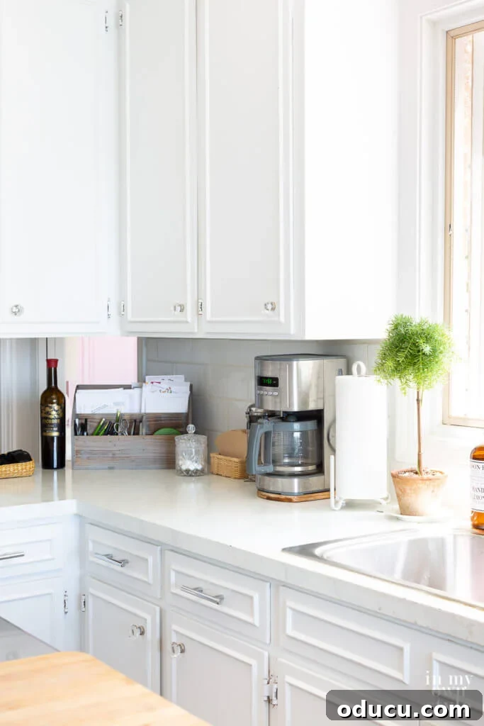Kitchen Counter Harmony: Blending Function and Style 9 How to decorate a kitchen with limited counter space.