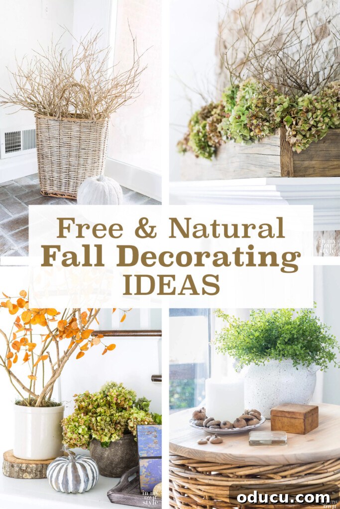 4 fall decorating projects that are from nature. Text says Free & Natural Fall Decorating Ideas