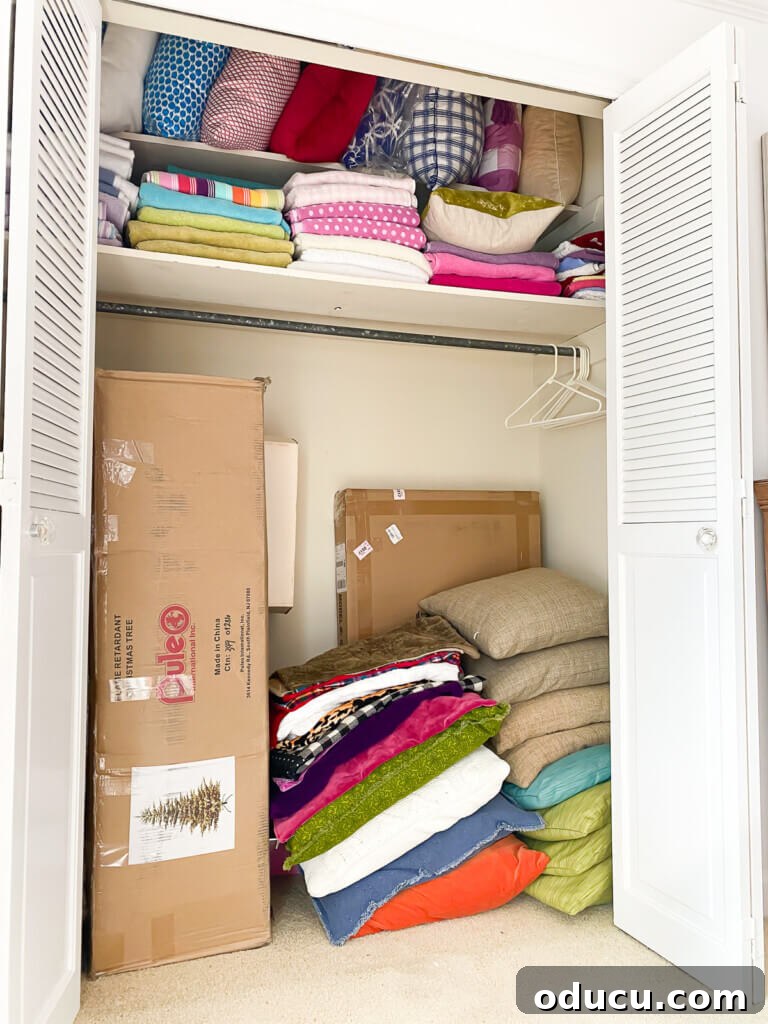 Instant Home Updates with Throw Pillow Covers 5 A neatly organized clothes closet repurposed into a dedicated storage space for an extensive collection of throw pillows.