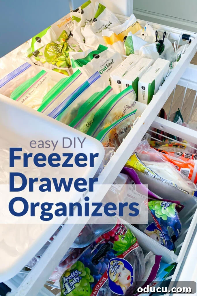 DIY Freezer Drawer Organization Hacks 20 easy-DIY-freezer-drawer-organizers