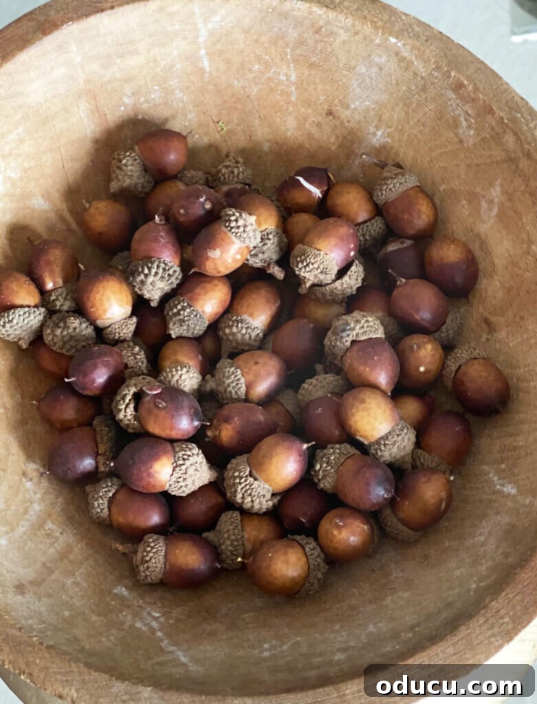 Cozy Fall Living Room on a Dime 14 acorns in a bowl