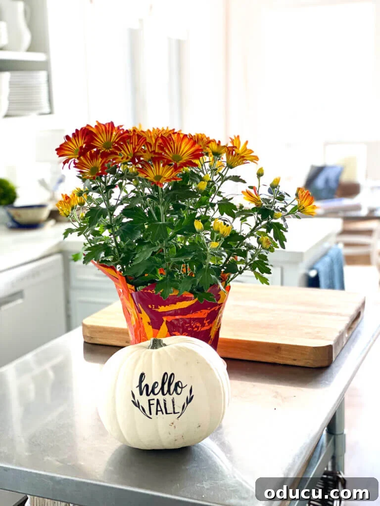 Literary Planters: Crafting Covers from Old Books 2 Vibrant fall flowers in a hidden pot on a kitchen island, showcasing creative home decor with books.