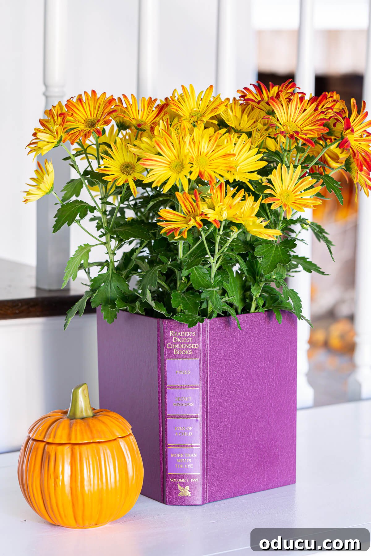 Literary Planters: Crafting Covers from Old Books 14 Decorative idea using old books: a stylish mum planter pot cover for home decor.
