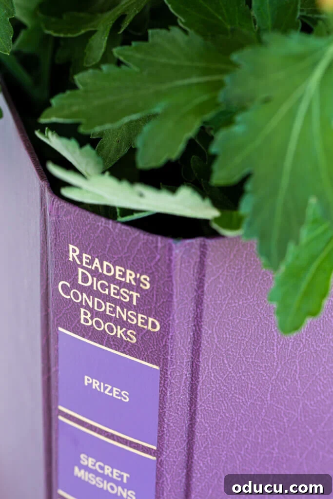 Literary Planters: Crafting Covers from Old Books 3 A purple Reader's Digest condensed book cover repurposed as a chic planter wrap, demonstrating unique book crafts.