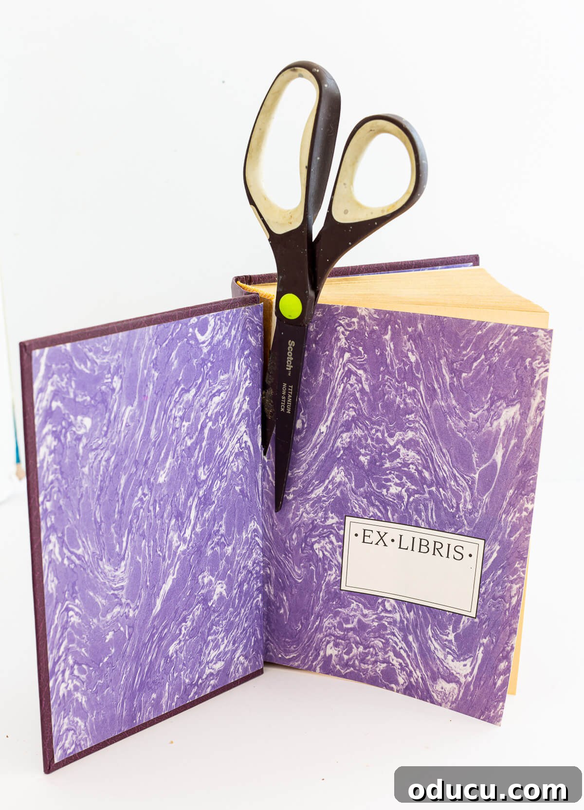 Literary Planters: Crafting Covers from Old Books 8 Illustrates how to carefully cut the pages out of old hardback books to prepare the covers for crafting.