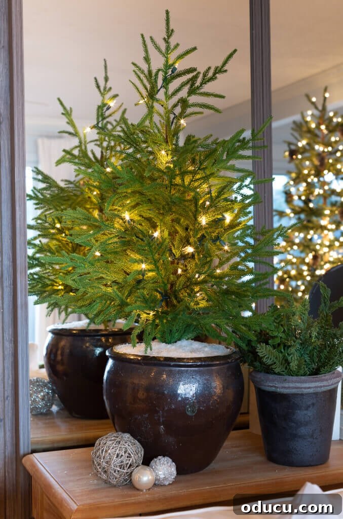 Festive Without the Fuss: Our Christmas Home Tour 9 A small, elegant faux pine tree in a ceramic planter, placed on a console table, adding natural charm to the living room.