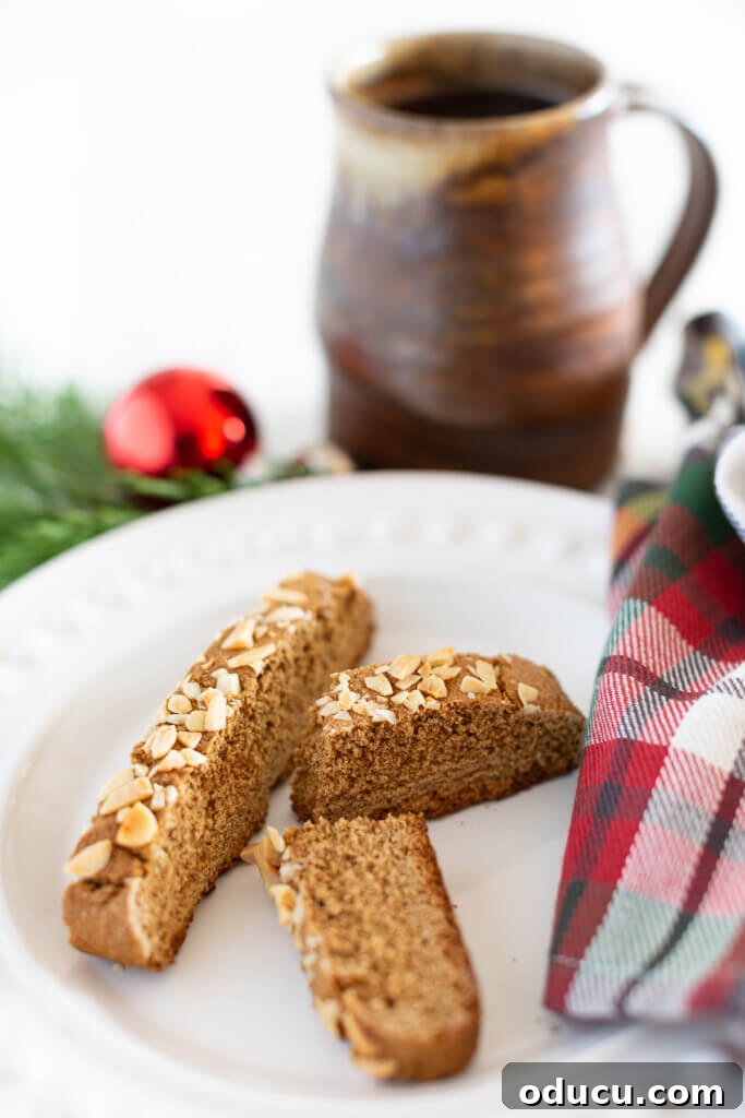 Spiced & Sweet Vegan Gingerbread Cookies 2 Vegan Christmas biscotti cookies on a plate.