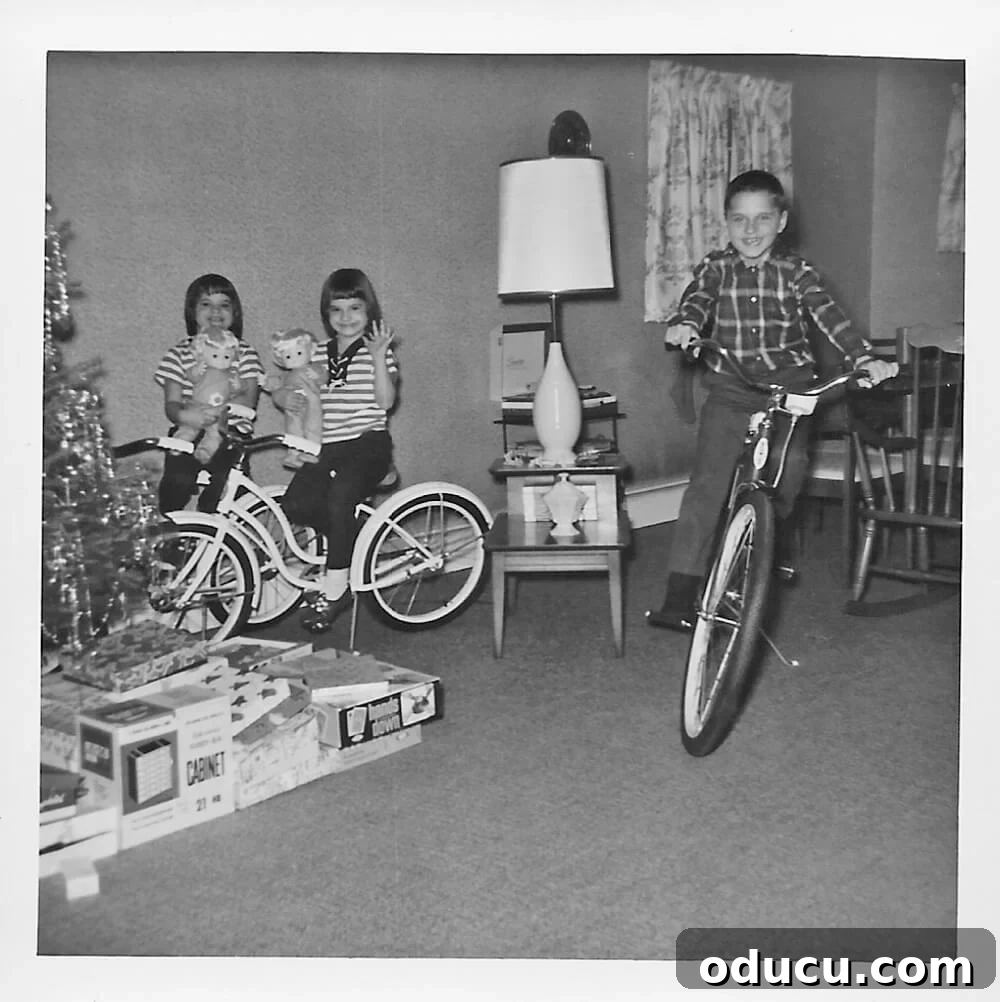 The Style Compendium 73 2 Getting bikes on Christmas in 1964