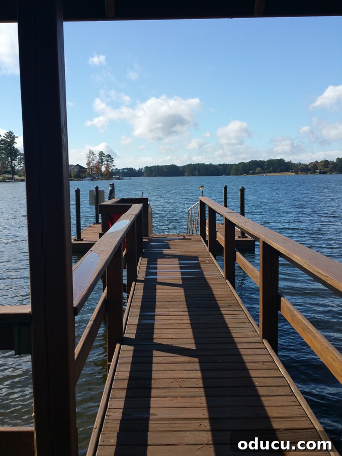 Beyond the View What Your Lake House Agent Isn't Telling You 11 water view from dock