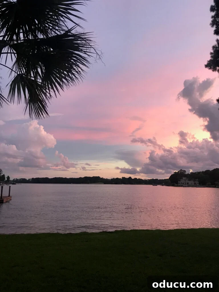 Beyond the View What Your Lake House Agent Isn't Telling You 16 lake murray sc sunset