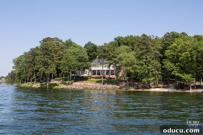 Beyond the View What Your Lake House Agent Isn't Telling You 4 house nested in trees on lake