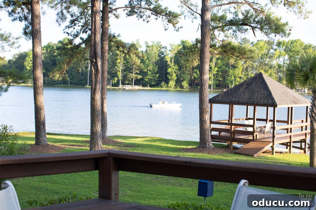 Beyond the View What Your Lake House Agent Isn't Telling You 9 Living on the water home tour