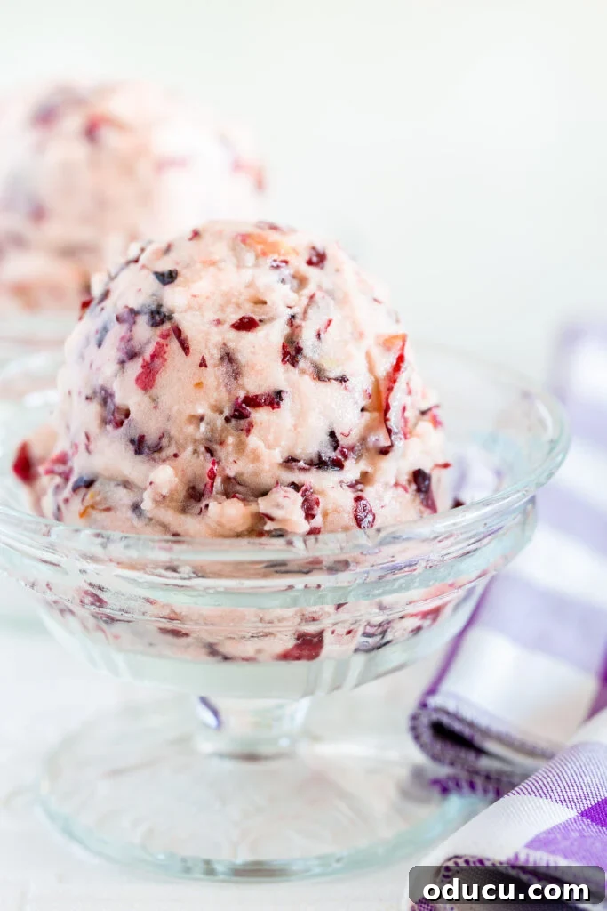 Pure Plant Bliss: Guiltless Dairy and Sugar-Free Dessert 2 Homemade ice cream alternative: delicious frozen whipped grapes for a healthy dessert