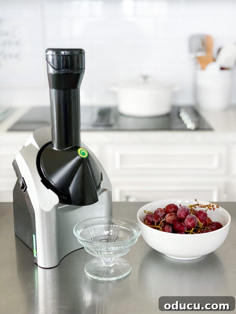 Pure Plant Bliss: Guiltless Dairy and Sugar-Free Dessert 3 Yonanas Frozen fruit maker on kitchen counter, ready to transform fruit into healthy desserts.