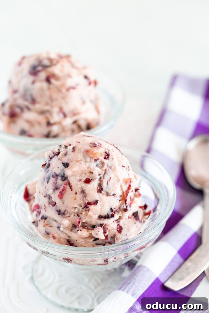 Pure Plant Bliss: Guiltless Dairy and Sugar-Free Dessert 4 Close-up of a bowl of frozen vegan red grape sorbet, a delightful one-ingredient healthy dessert.