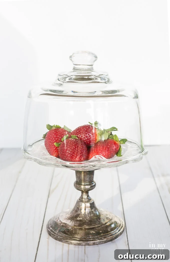 Unlock New Decor Ideas for Candle Holders 8 Fresh strawberries elegantly presented on a pedestal plate, beautifully protected by a glass dome.