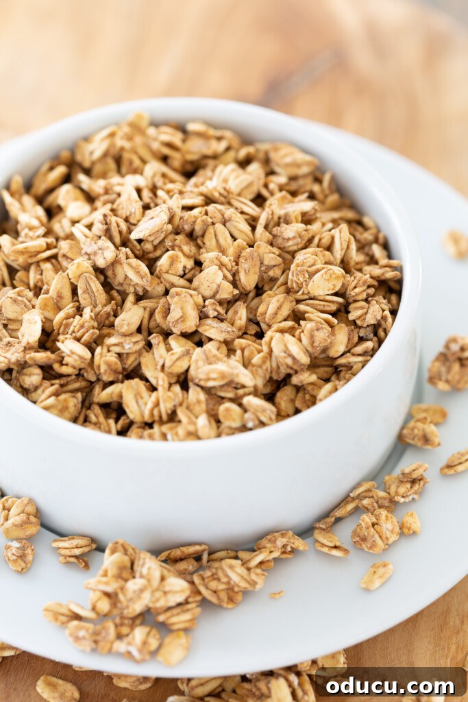 A bowlful of No fat or sugar added crunchy Rawnola.